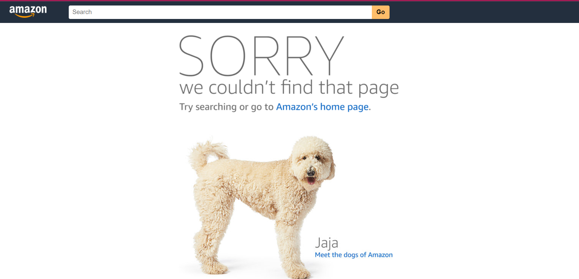 Strona błędu 404 Amazon